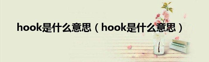 hook是什么意思呀（hooks什么意思中文翻译）